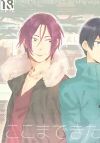 (C87) [KANGAROO KICK (Takagi Takumi)] Koko made kita wa ii Keredo (Free!)