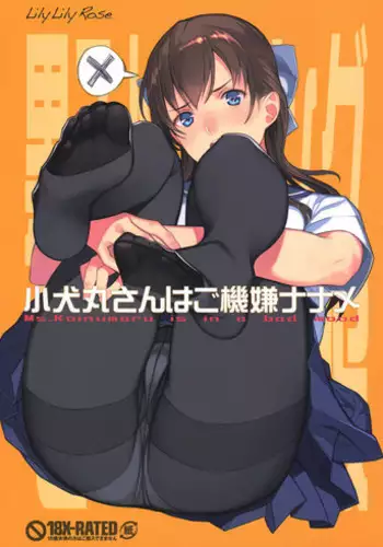 (C90) [LilyLilyRose (Mibu Natsuki)] Koinumaru-san wa Gokigen Naname | Ms. Koinumaru is in a bad mood [English]