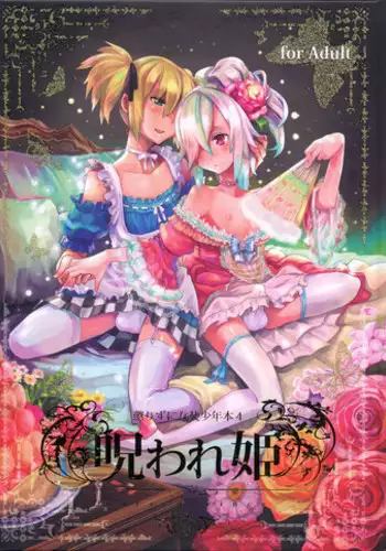 (C78) [dicca (Suemitsu Jikka)] Korizu ni Josou Shounen Hon 4 - Norowarehime