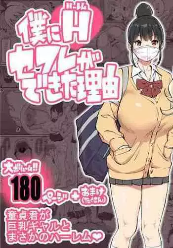 Boku ni Harem SeFri ga Dekita Riyuu