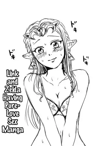[Wasabi] Link to Zelda ga Jun Ai Ecchi suru Manga (The Legend Of Zelda) (English)