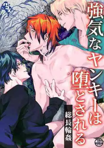 Tsuyoki na Yankee wa Otosareru Souchou Rinkan | 霸气不良的堕落—总长轮奸