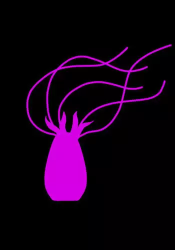 Pink Tentacle Creature