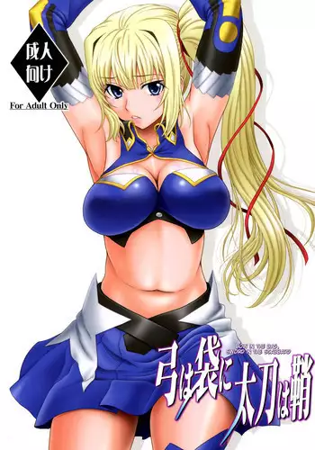 [Oretachi Misnon Ikka (Suhara Shiina)] Yumi wa Fukuro ni Tachi wa Saya | The World is at Peace (Madan no Ou to Vanadis) [English] [doujin-moe.us]