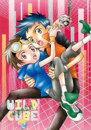 WILD CUBE again