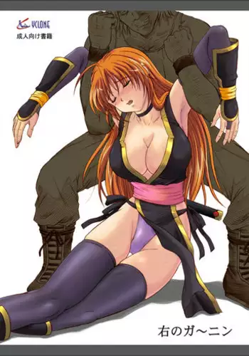 (C72) [Cyclone (Izumi Kazuya)] Migi no Ga~nin (Dead or Alive) [Digital] [Colored]