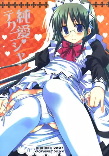 (C72) [Kokikko (Sesena Yau)] Junai Technician (Hayate no Gotoku!)