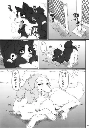 Man's Best Friend with "Benefits"