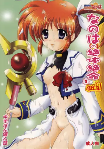 (C75) [TecchiTecchi (YUZUPON)] Nanoha no Zettai Zetsumei Special 2 (Mahou Shoujo Lyrical Nanoha)