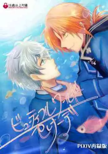 Beautiful World Serenade