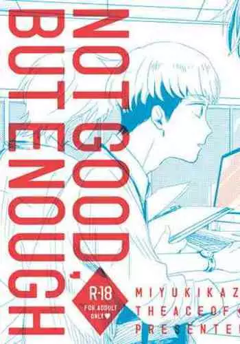 NOT GOOD, BUT ENOUGH