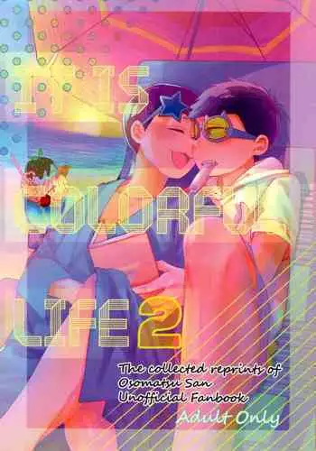 IT IS THE COLORFUL LIFE 2