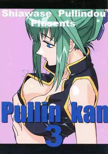 (C61) [Siawase-Pullin Dou (Arai Kei, EXP, Nin 6)] Pullin-kan 3 (Shaman King)
